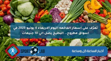 تعرّف على أسعار الفاكهة اليوم الأربعاء 4 يونيو 2025 في أسواق مطروح.. البطيخ يصل إلى 10 جنيهات